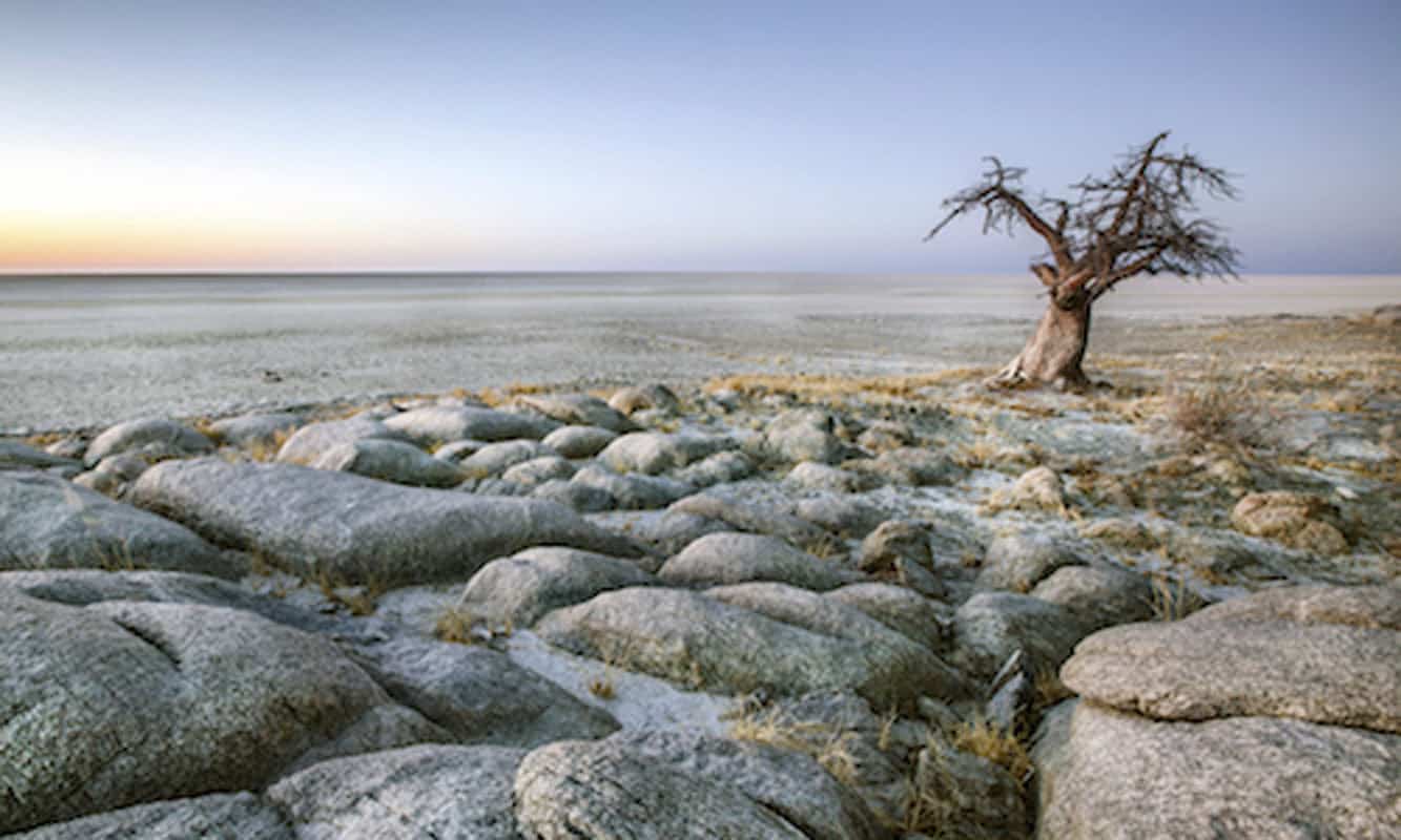 10 Facts About Botswana That Will Make You Want To Go There