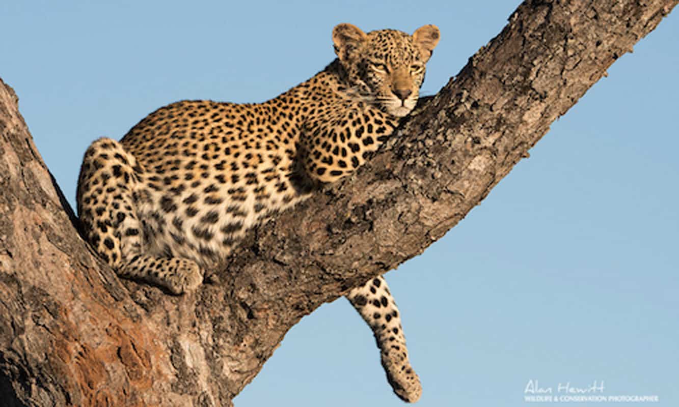 6 Great Destinations for a Wildlife Photography Holiday