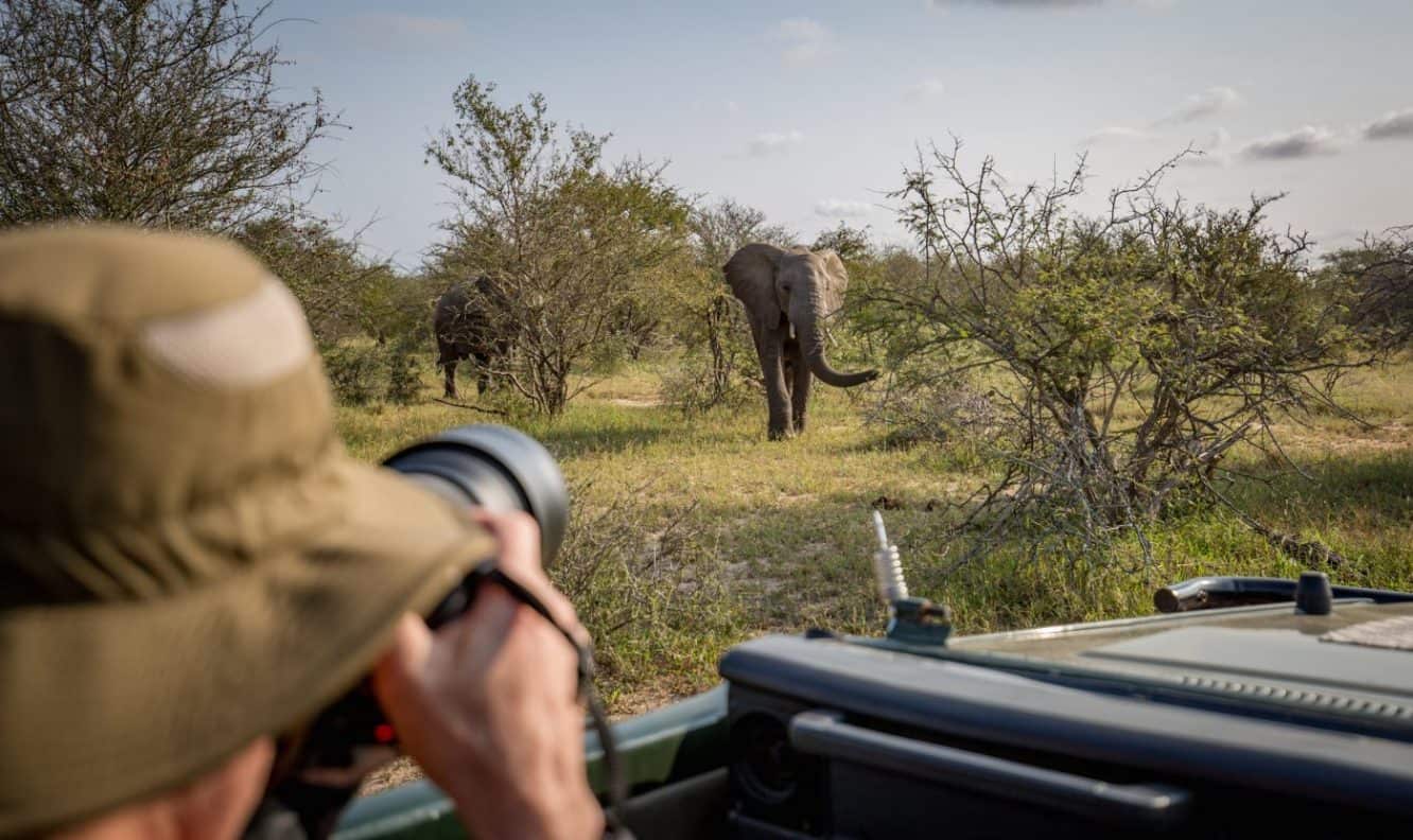 wildlife photography internship