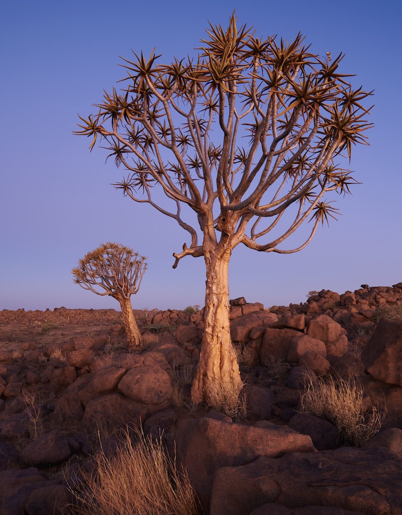 Namibia photography