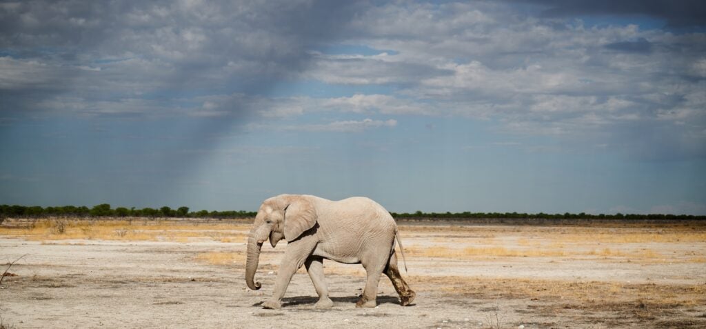 Namibia Photo Tour