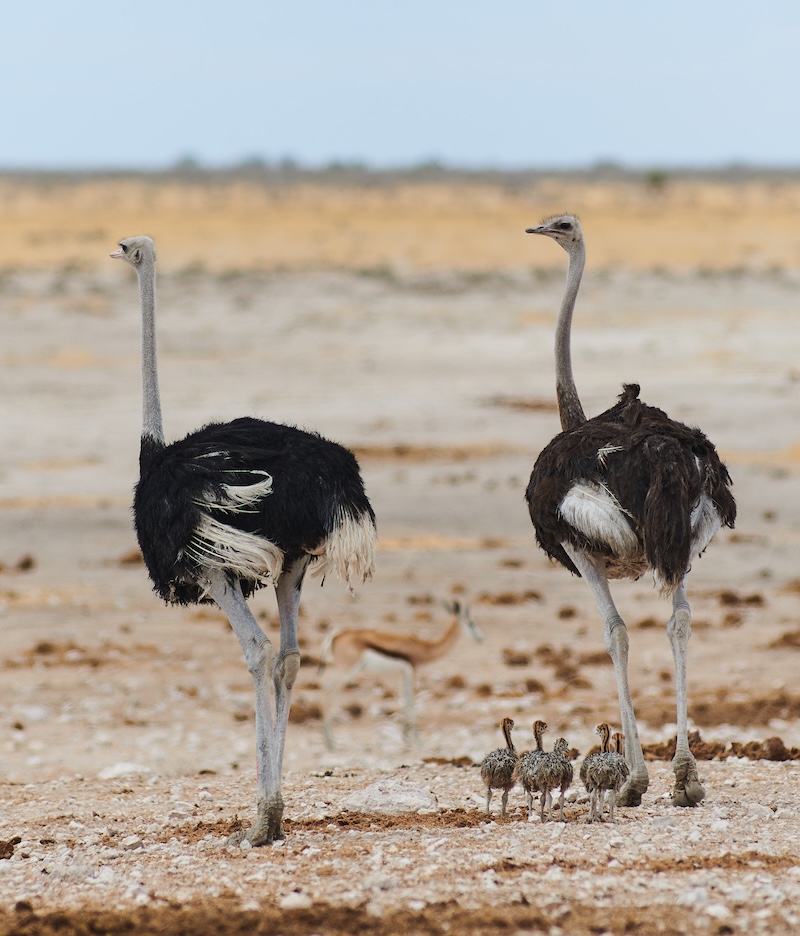 Namibia photo tour