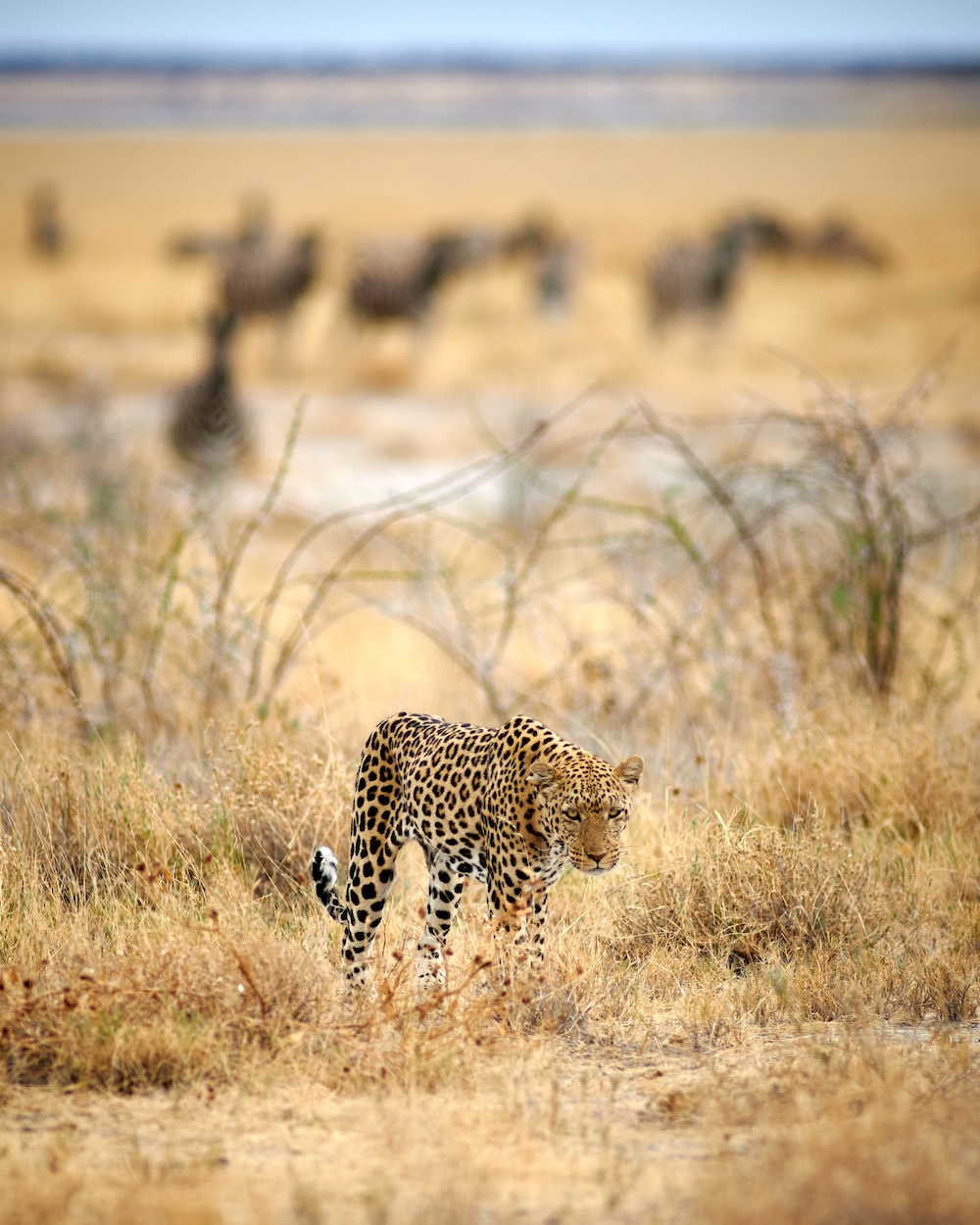 Namibia photo tour