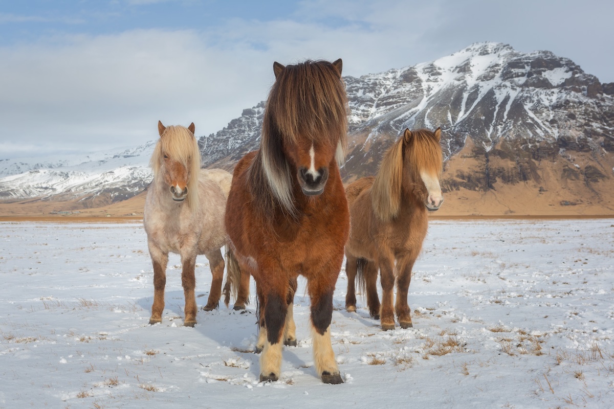 Iceland photo tour