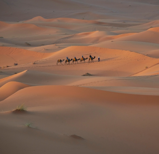 MOROCCO PHOTOGRAPHY EXPEDITION