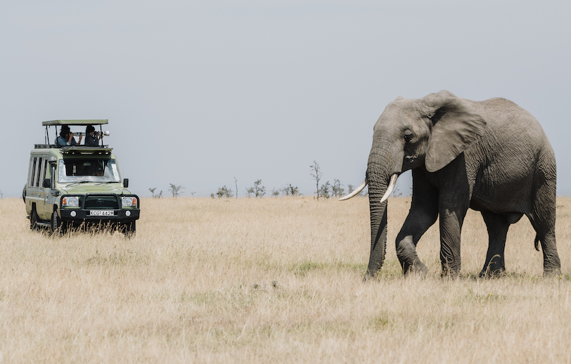 Maasai Mara photo safari_10