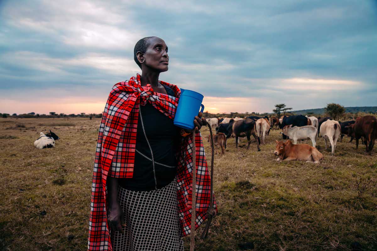 Maasai Mara photography workshop