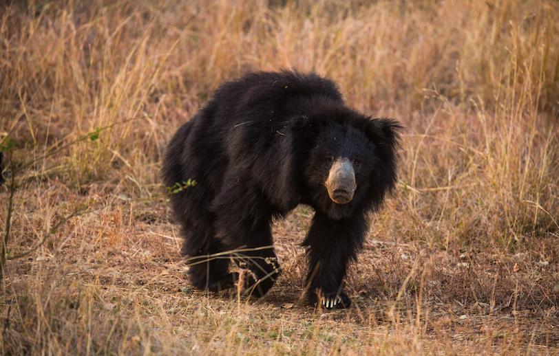 India photo tour_3