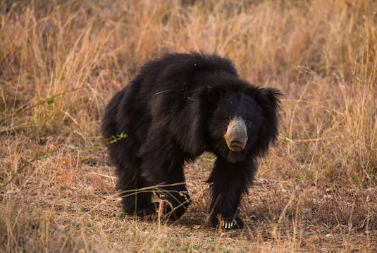 India photo tour