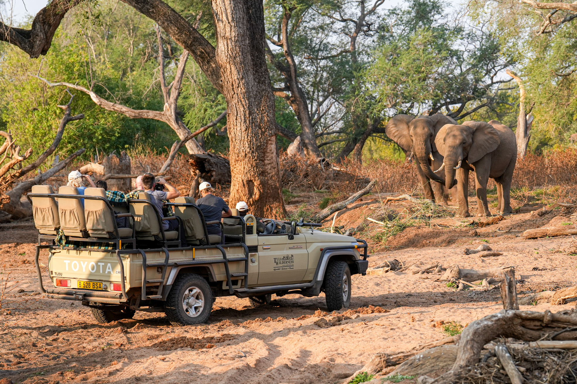 group of people on a safari jeep watching two elephants up close