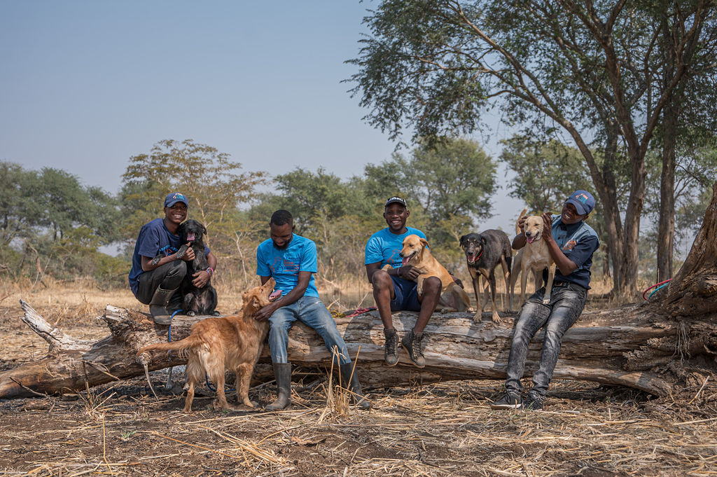 A group of happy young men sitting on a log with their dogs