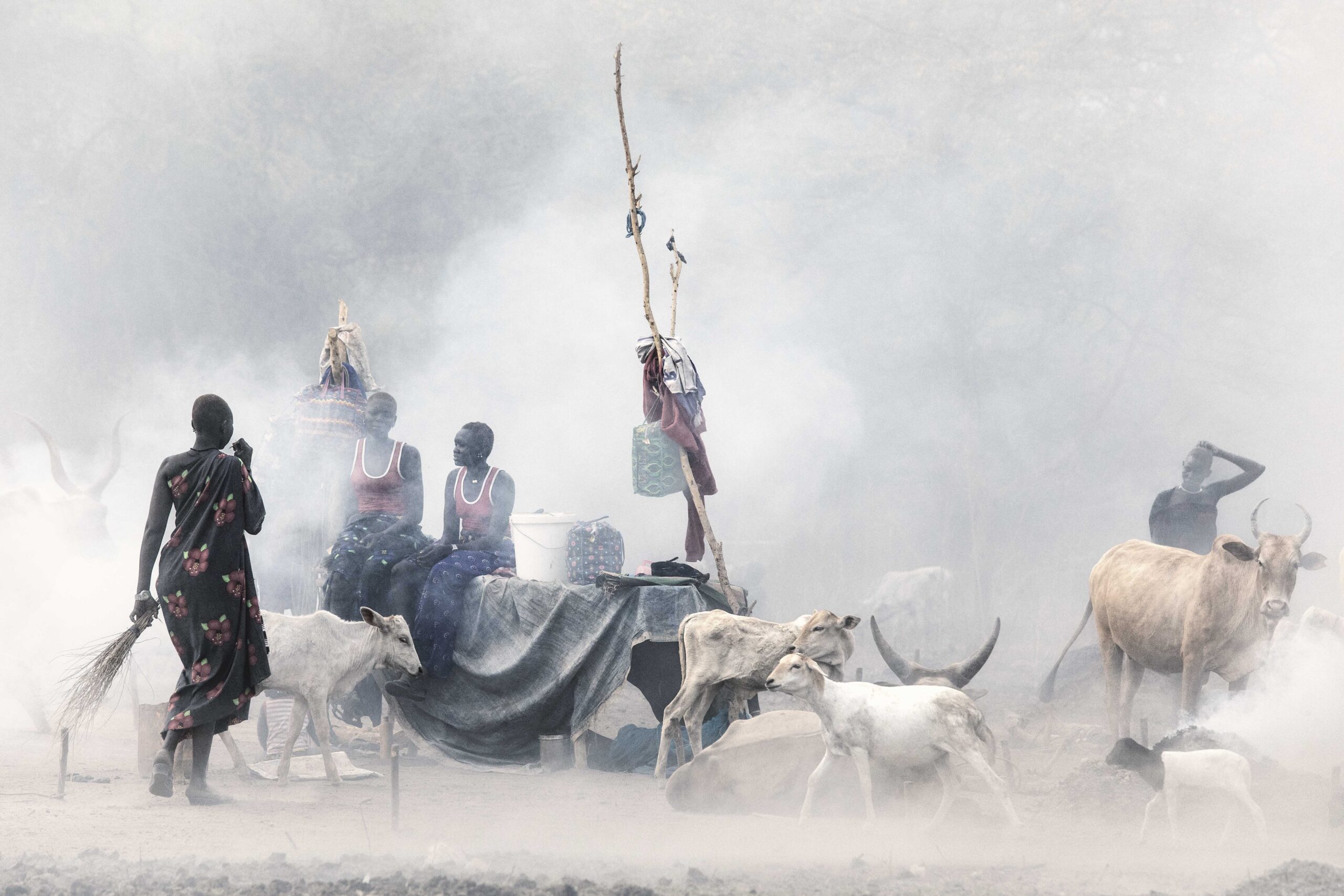 People and cattle surrounded by mist and smoke in a rural setting