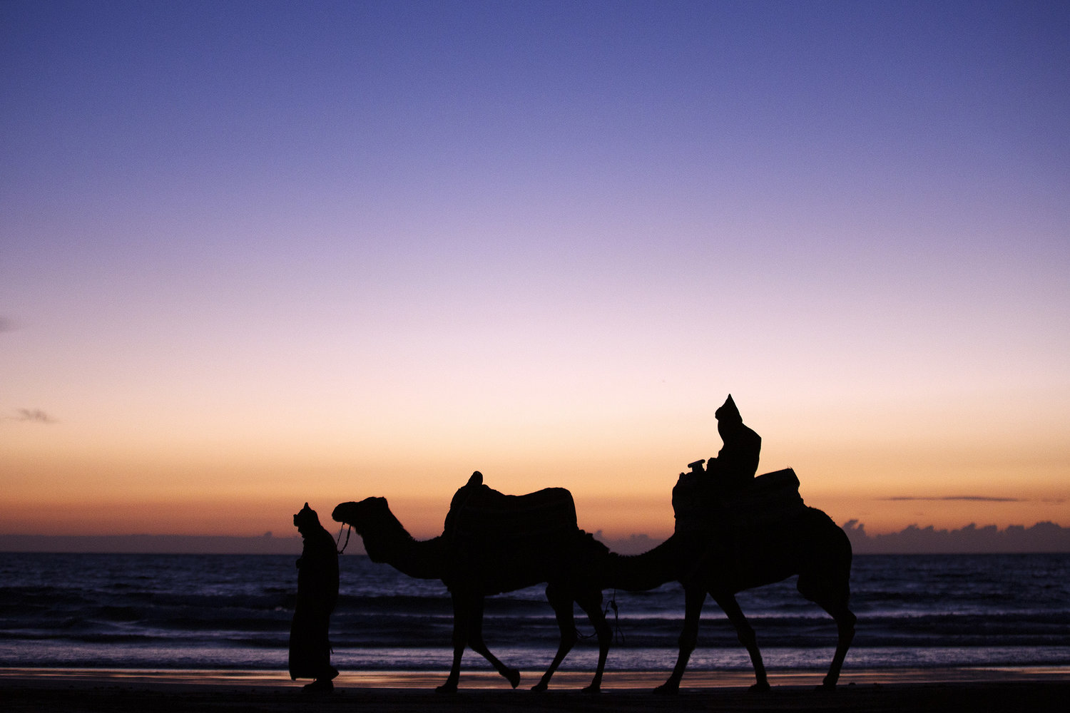 silhouettes of camels and riders walking along a beach at sunset