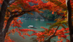 A scene of a river surrounded by red and orange leaves. There is a person stood rowing on a boat in the middle of the river.