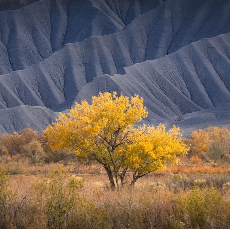 landscape photo competition